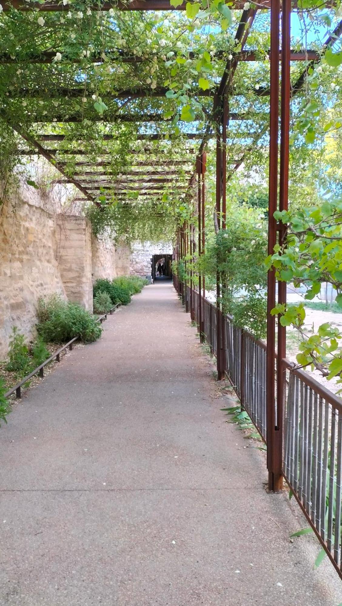 Studio Terrasse, Intra-Muros, Climatise Avec Wifi Avignon Exterior photo